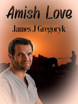 cover image of Amish Love